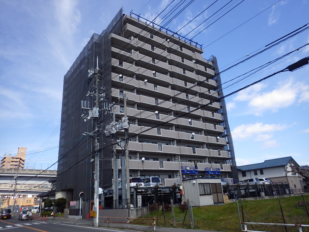 IMGP2527.JPG