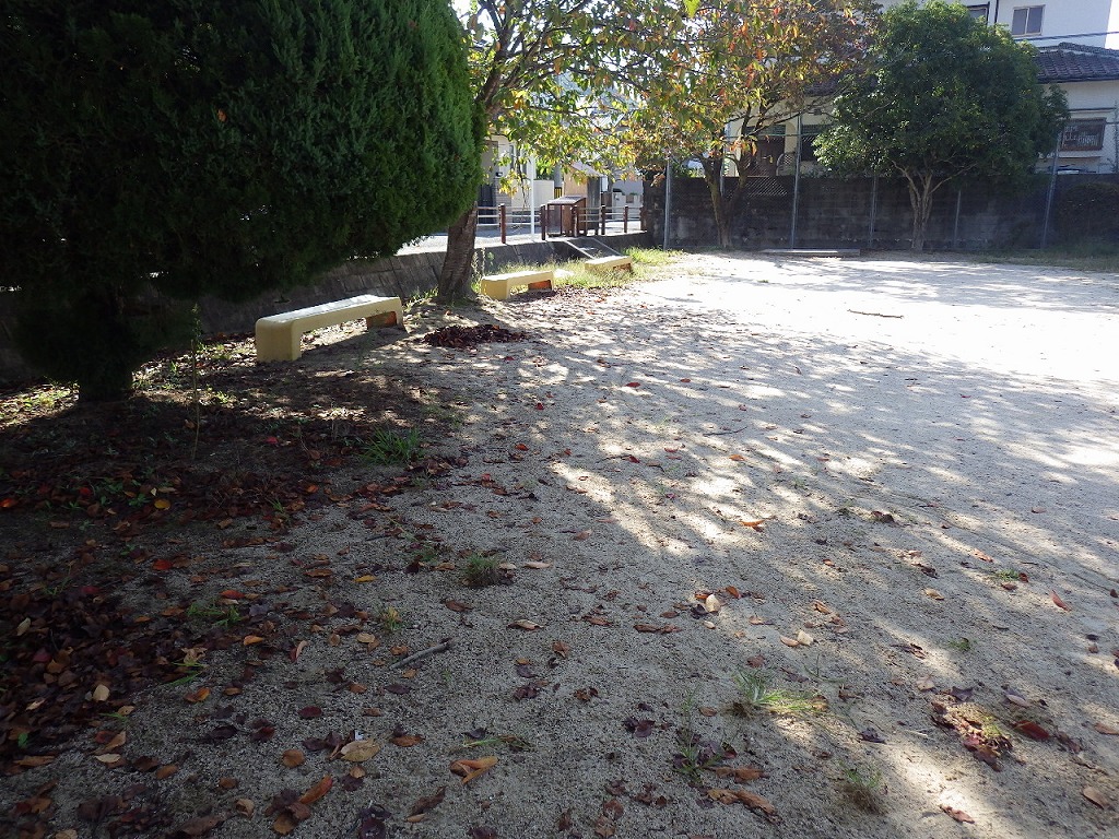 IMGP4007.jpg
