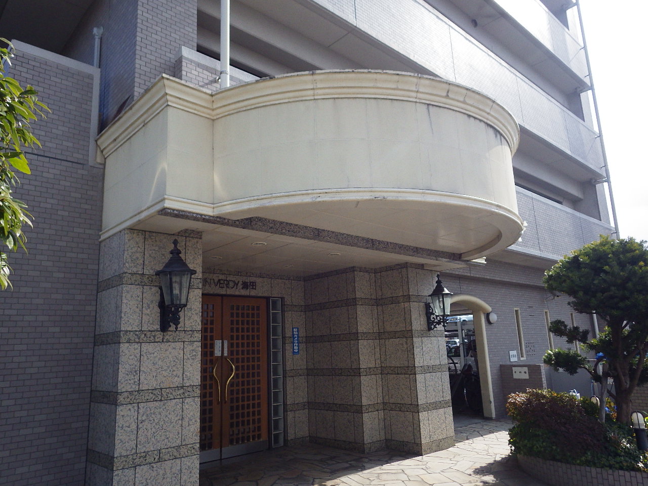 IMGP5273.JPG