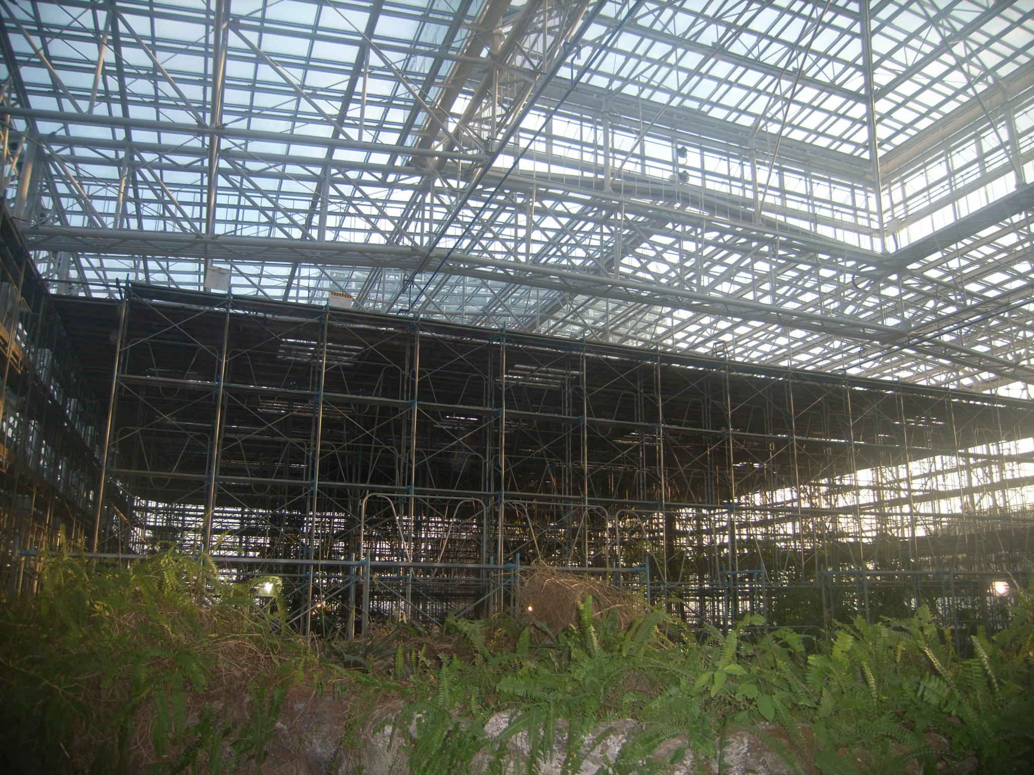 R0054492.JPG