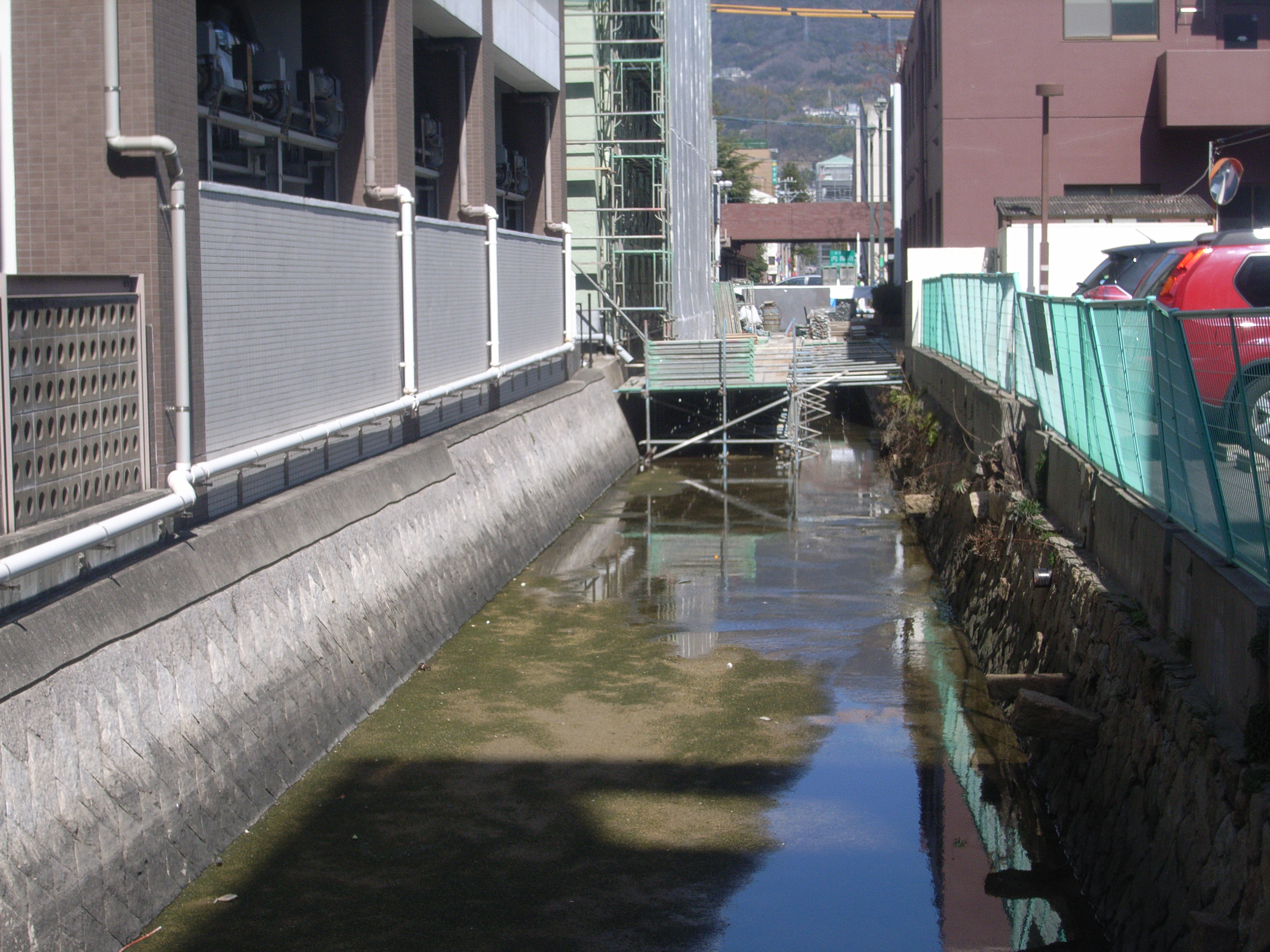 R0055800.JPG