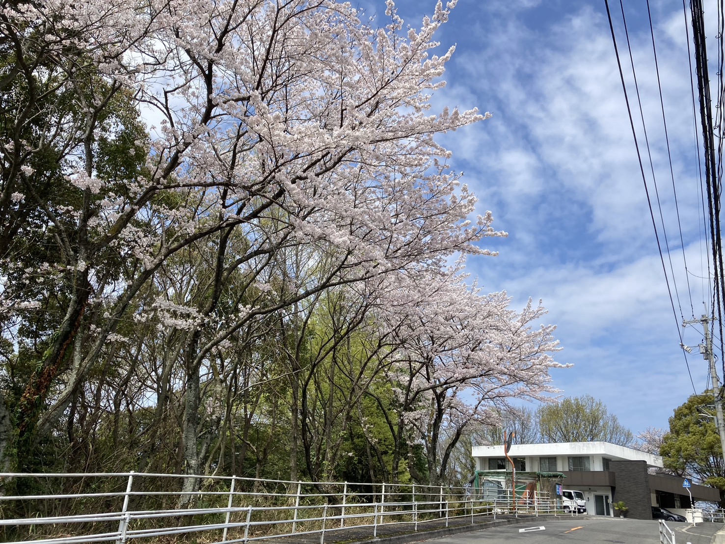 S__36823061.jpg