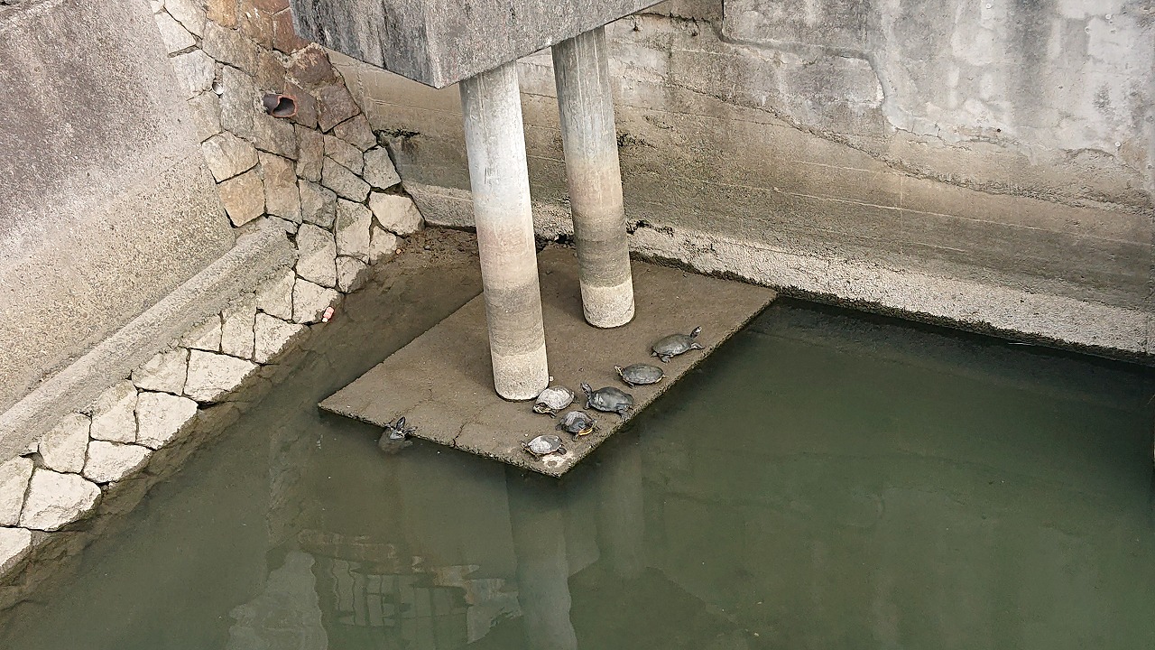 s-DSC_0083.jpg