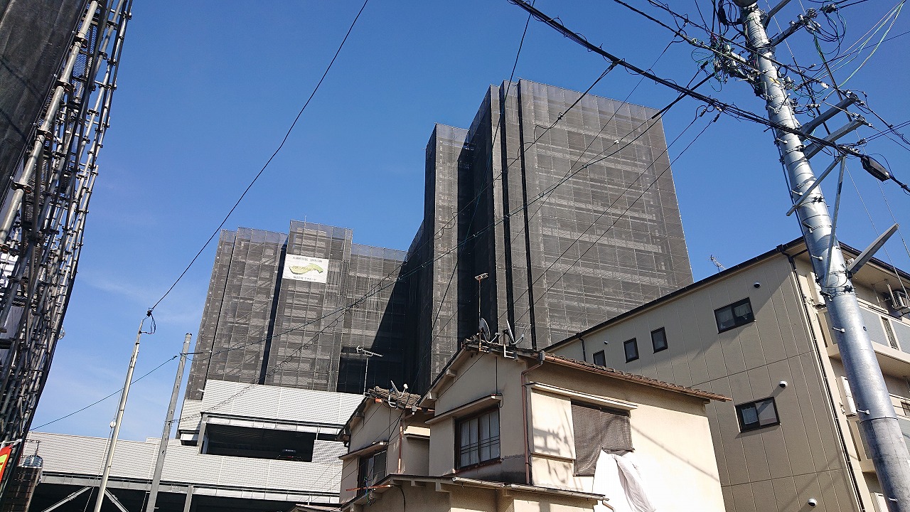 s-DSC_0186.jpg