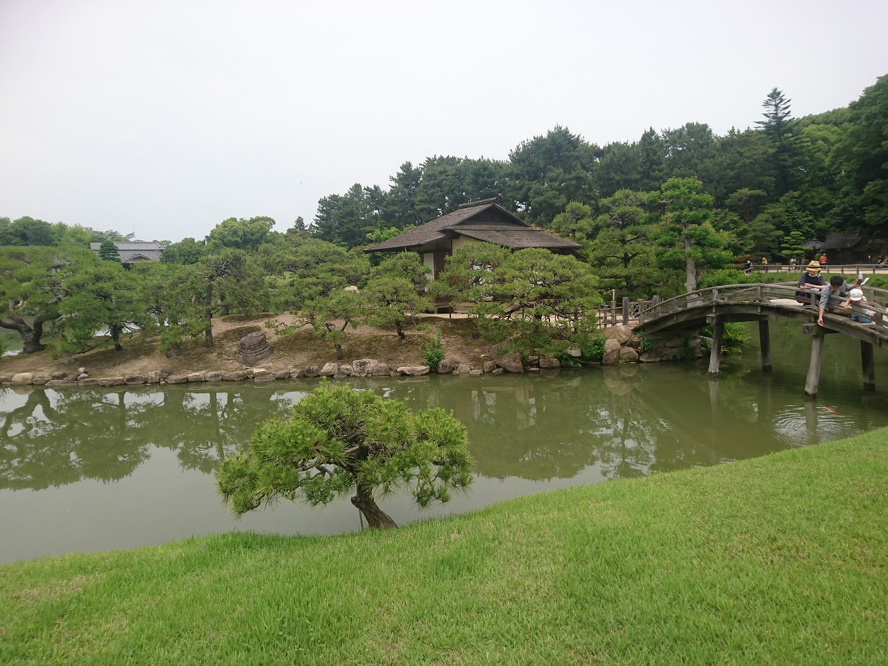 s-DSC_0383.jpg