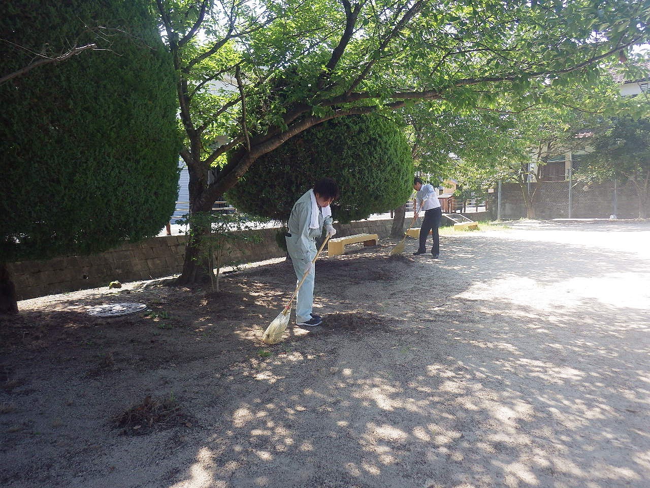 s-IMGP3154.jpg