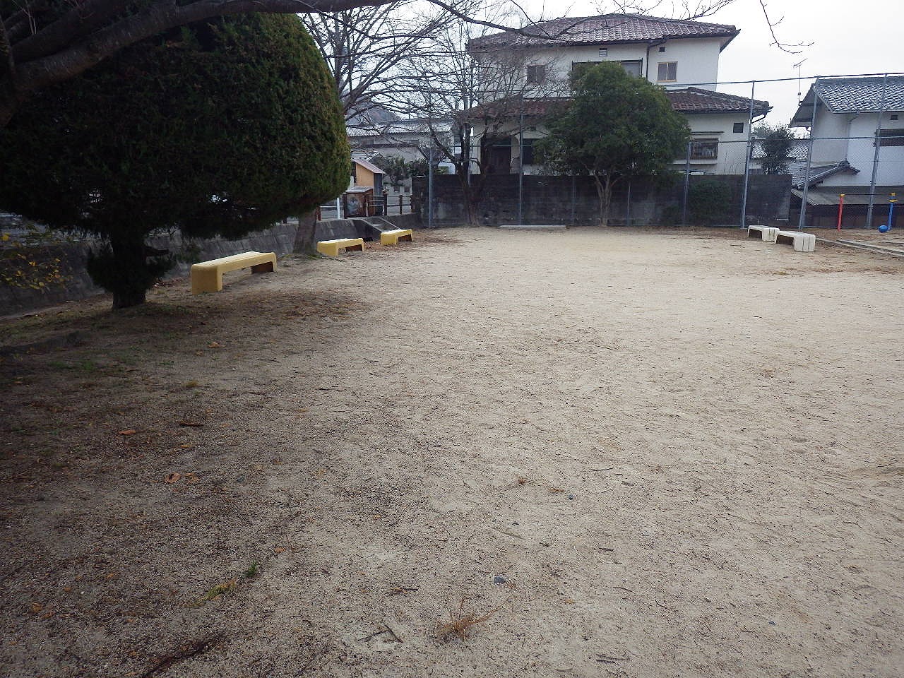 s-IMGP3564.jpg