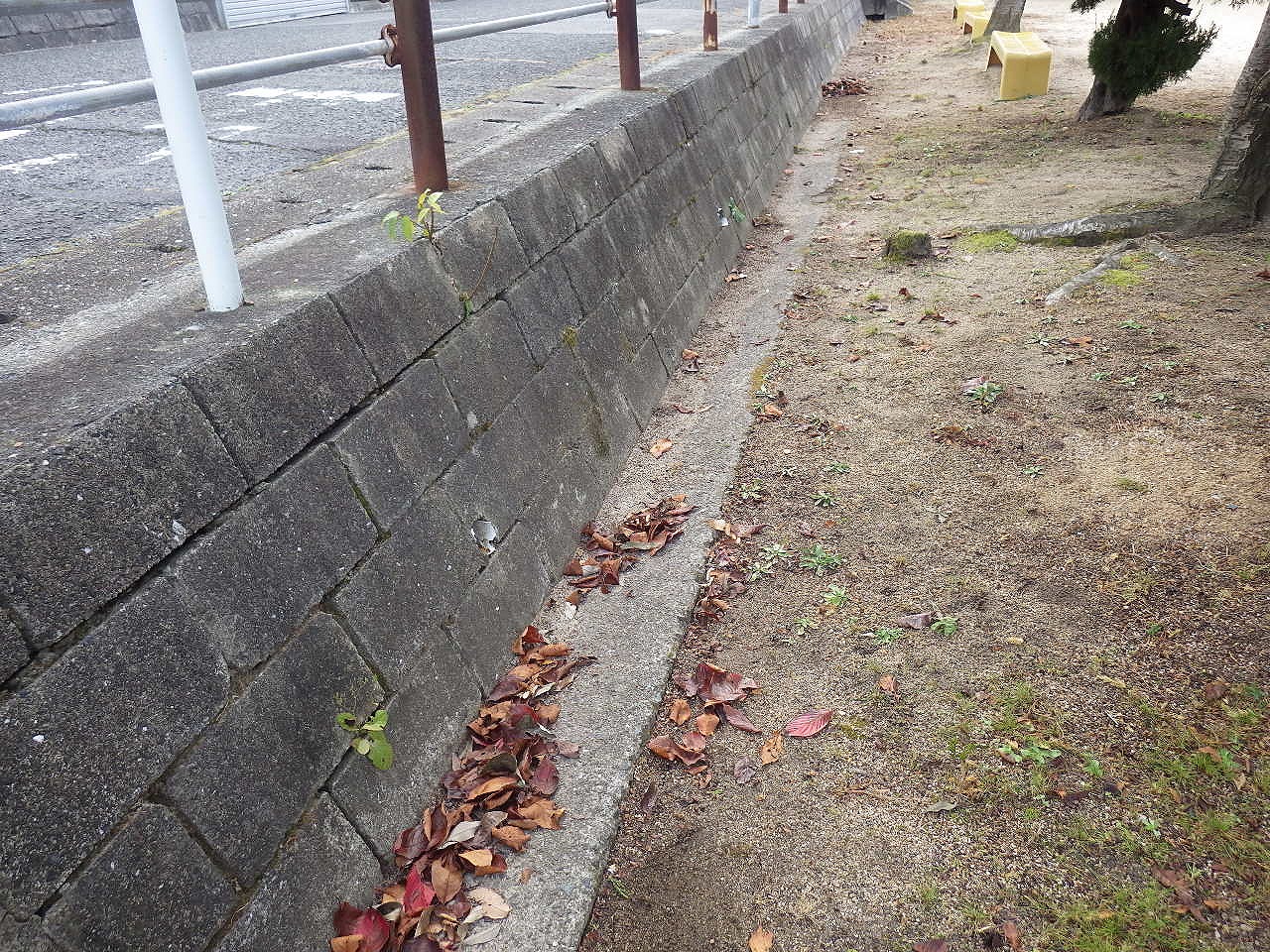 s-IMGP3566.jpg
