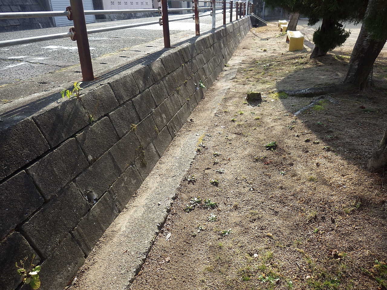 s-IMGP3572.jpg