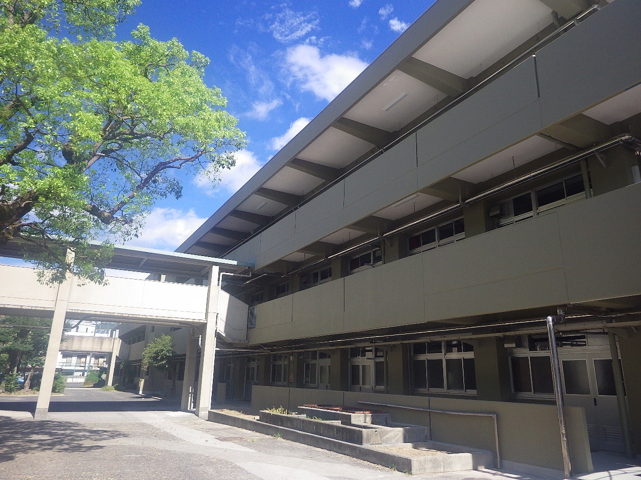 s-RIMG1292.jpg