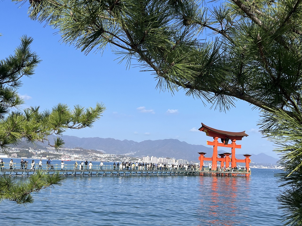 s-miyajima (3).jpg