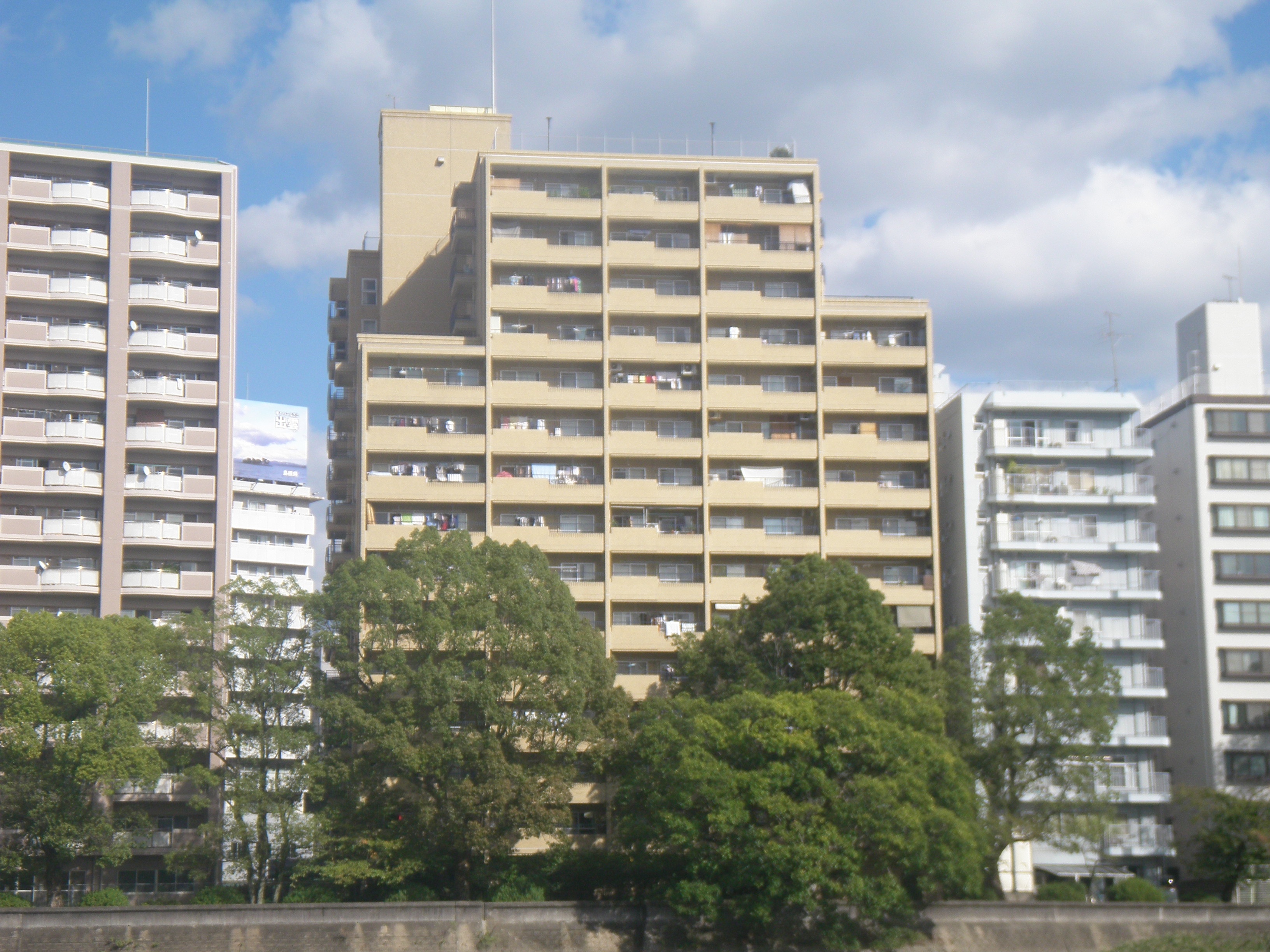 RIMG0050.JPG