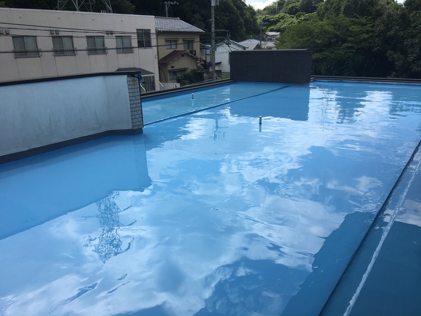S__6619143.jpg